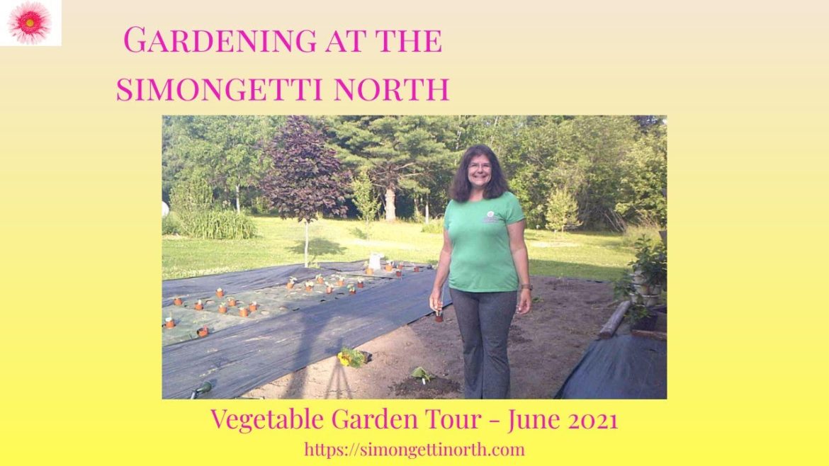 Vegetable Garden Tour - June 2021 🌽🍅🥒 // Gardening at the Simongetti North