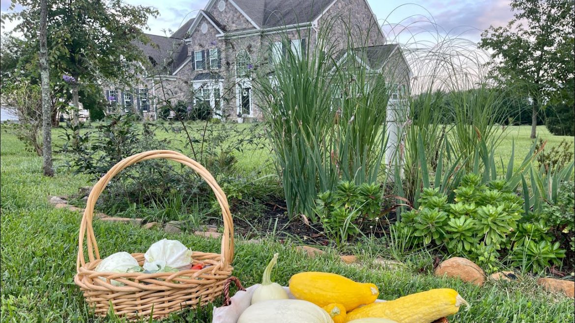 Trailer for Garden Design, Garden Maintenance & Harvest. Go Check the full Video at Yali’s Community