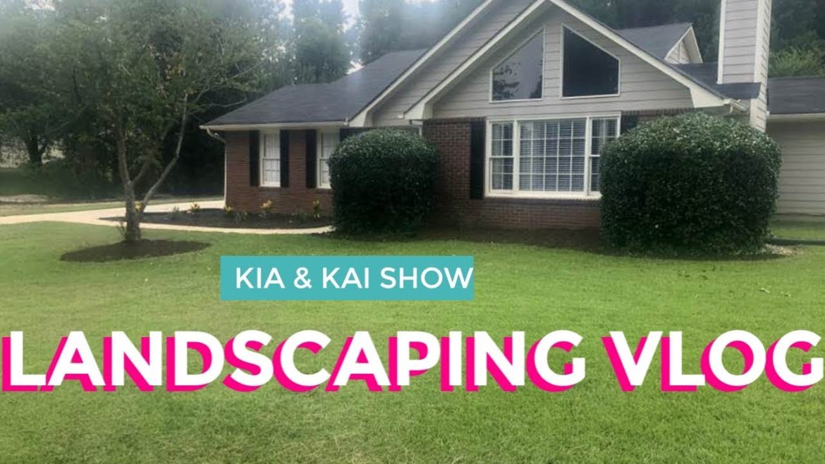 FRONT YARD LANDSCAPING ON A BUDGET