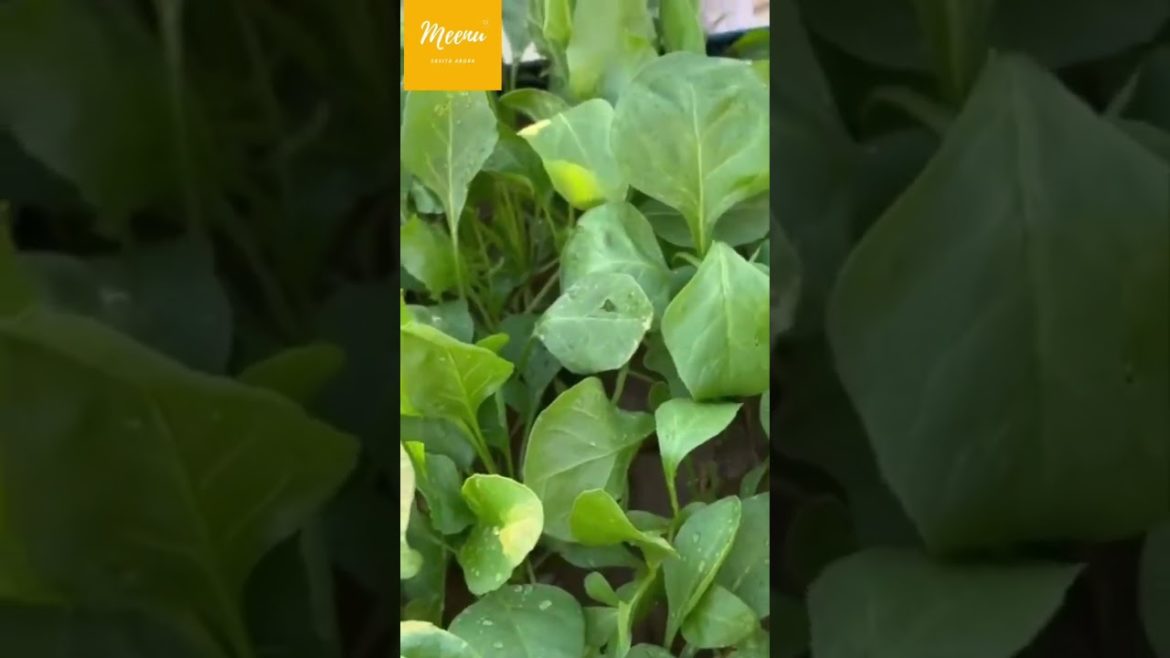 बहुत आसान है यह काम