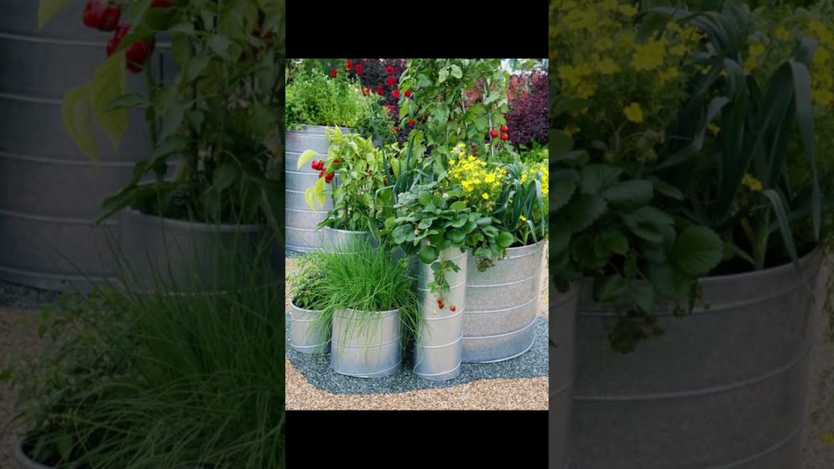 Backyard garden ideas | garden design for home | beautiful design of lawn | Patio designs Backyard garden ideas | garden design for home | beautiful design of lawn | Patio designs