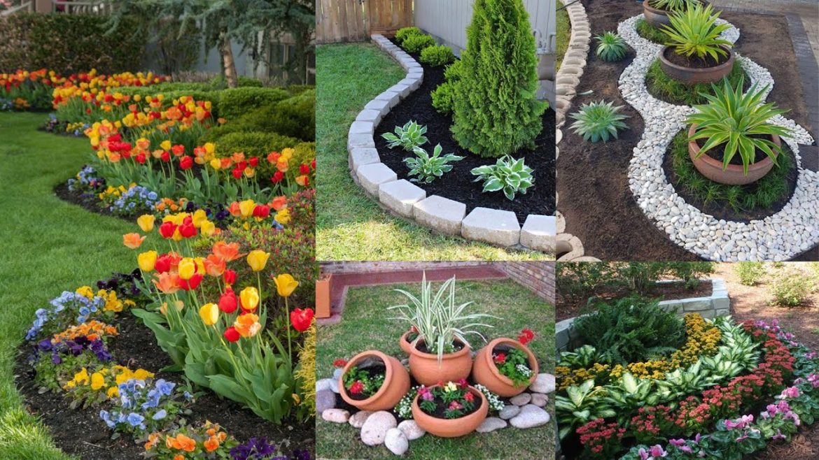 Easy LANDSCAPING IDEAS for Your Front Yard | Gardening & Plants Easy LANDSCAPING IDEAS for Your Front Yard | Gardening & Plants