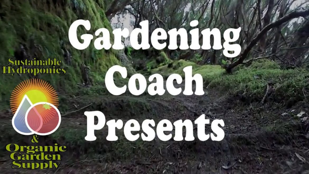 Gardening Coach Presents - Episode 8 - Training (Pruning, Sculpting, Trimming)