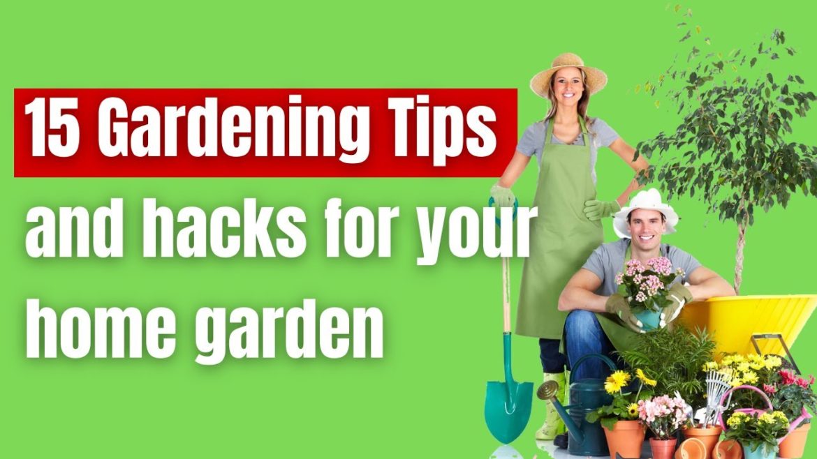 15 Gardening Tips and hacks for your home garden | gardening hacks 15 Gardening Tips and hacks for your home garden | gardening hacks