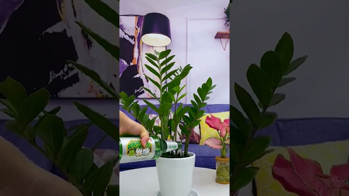 Grow Your garden With This Hack #Shorts