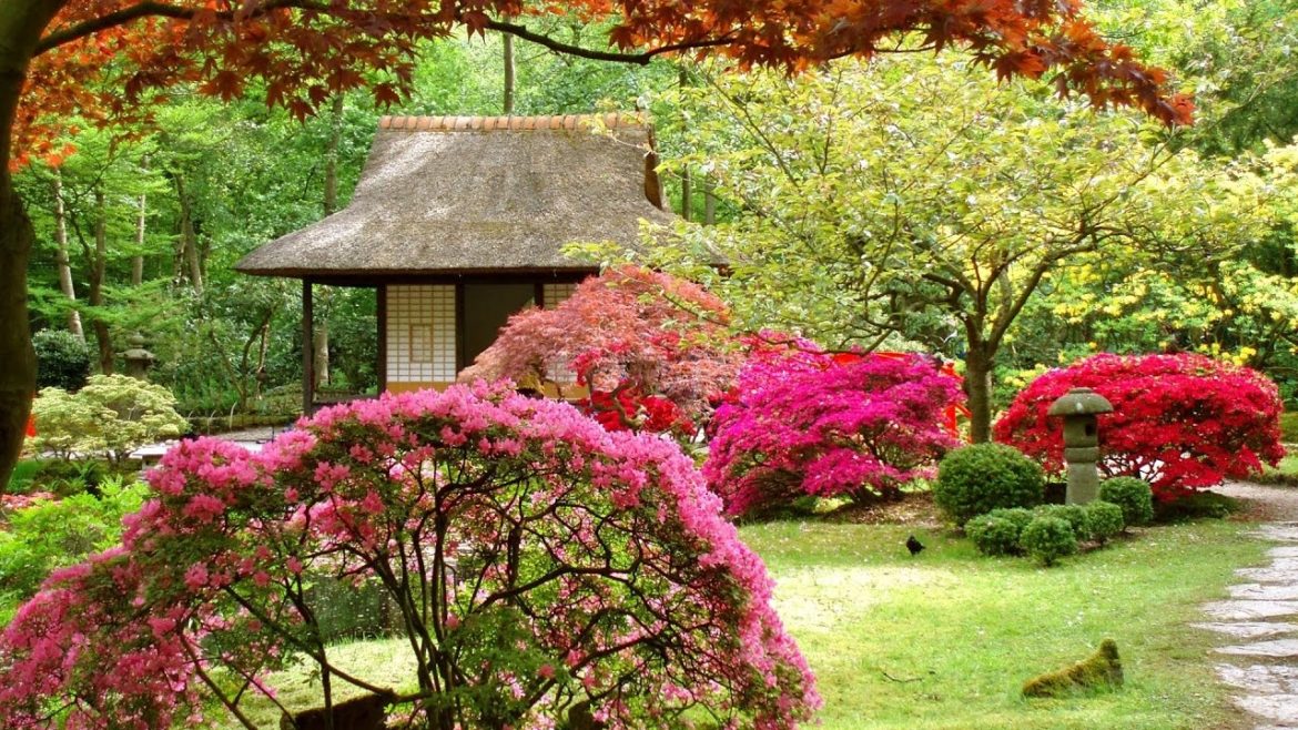 Hot 60 + Japanese Garden and Landscape Creative Ideas 2017 – Amazing Garden Design Hot 60 + Japanese Garden and Landscape Creative Ideas 2017 - Amazing Garden Design