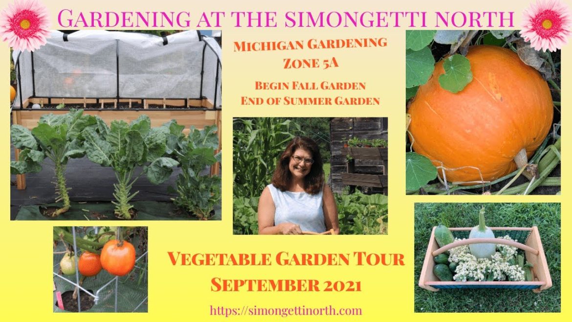 Vegetable Garden Tour – September 2021 🥬🥕🌶️// Gardening at the Simongetti North Vegetable Garden Tour - September 2021 🥬🥕🌶️// Gardening at the Simongetti North