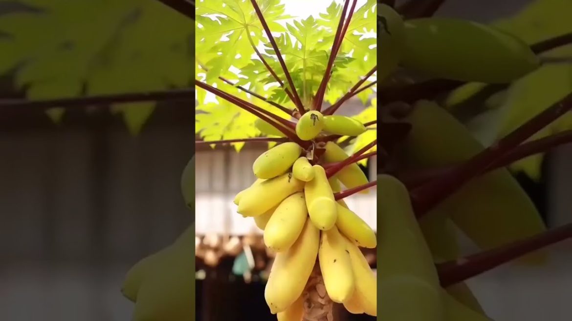 Looks so delicious and healthy to pick foods