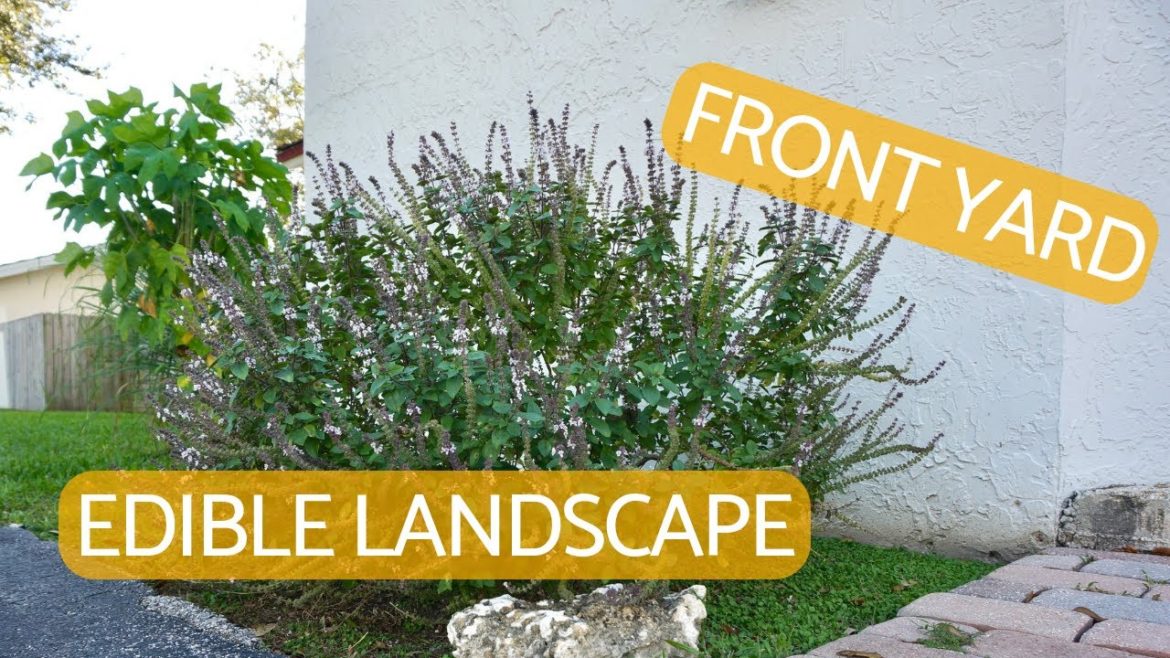 Grow Food in Your Front Yard || An Edible Landscape in the Making