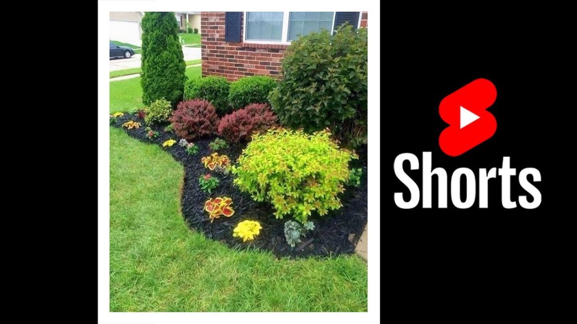 Easy maintenance front yard landscaping 1