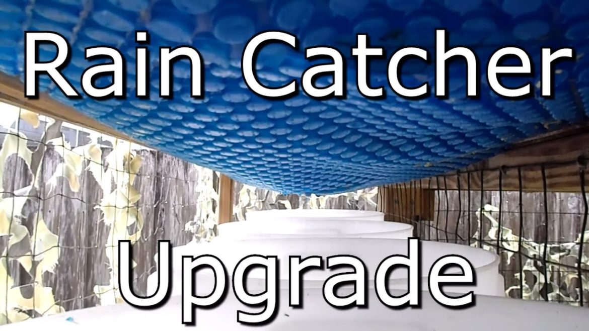Water Catcher Upgrade for my Chicken Coops Water Supply - Backyard Gardening & Island Farming