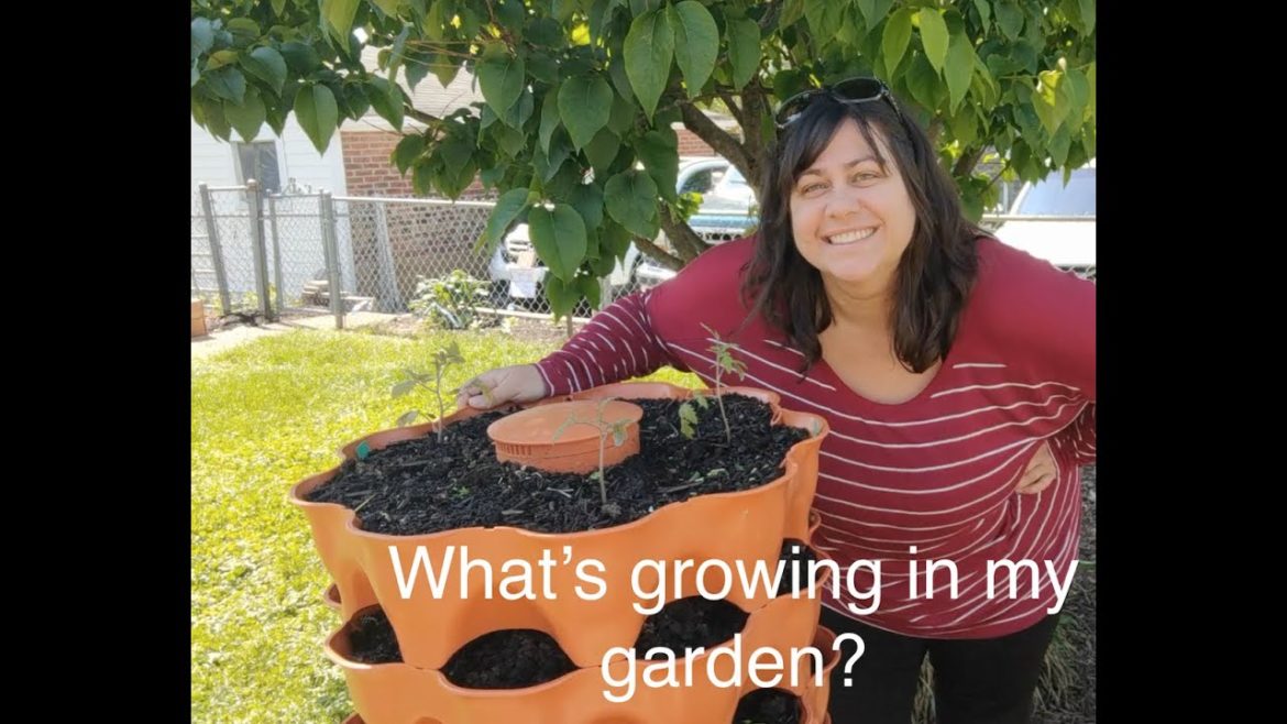 Backyard Garden Tour | Our Urban Garden