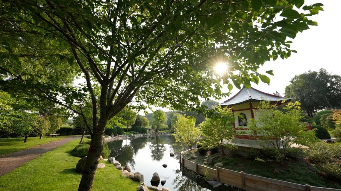 Discover Bloomington: Tour the Japanese Garden at Normandale Community College