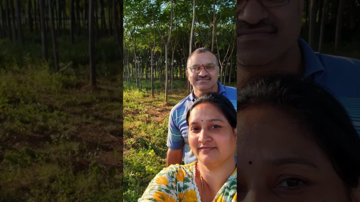 quick garden tour #gardentour #gardentips #care #viralreels #trendingshorts #ytshorts #youtubeshorts quick garden tour #gardentour #gardentips #care #viralreels #trendingshorts #ytshorts #youtubeshorts