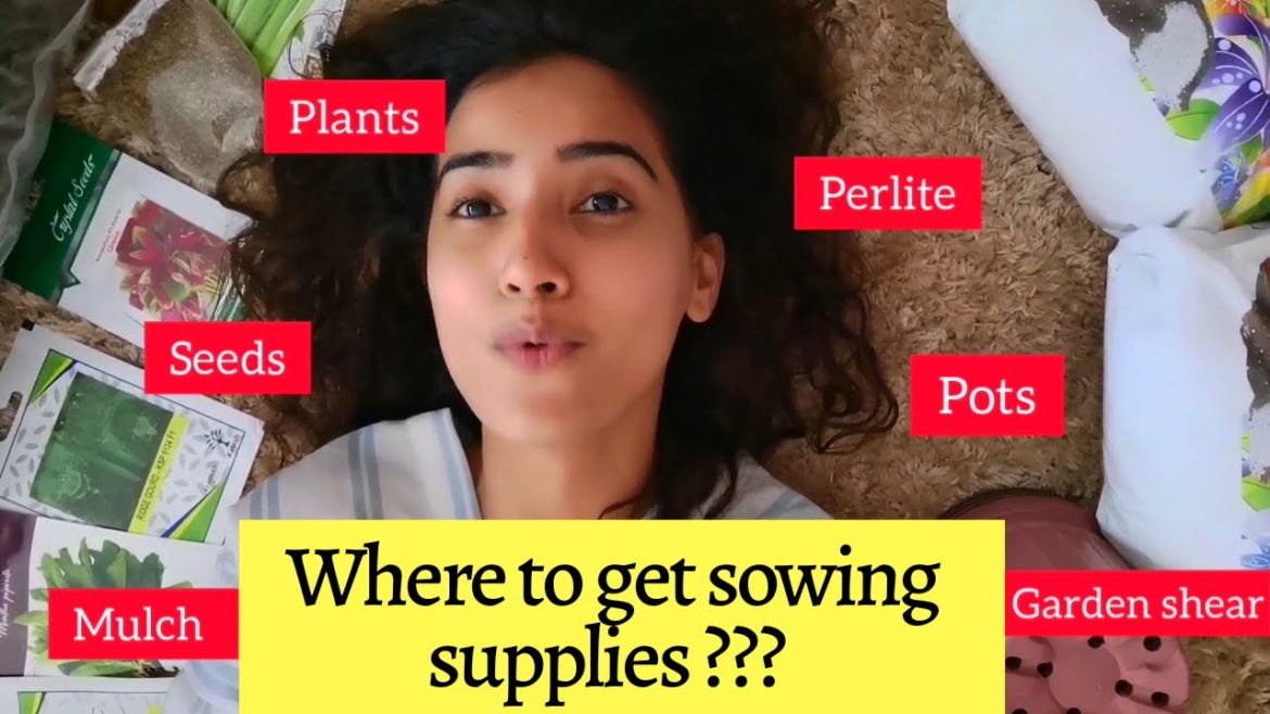 Gardening VLOG ~ where to find sowing/ agriculture supplies in DUBAI ~ seeds ~ perlite ~ 1 aed plant