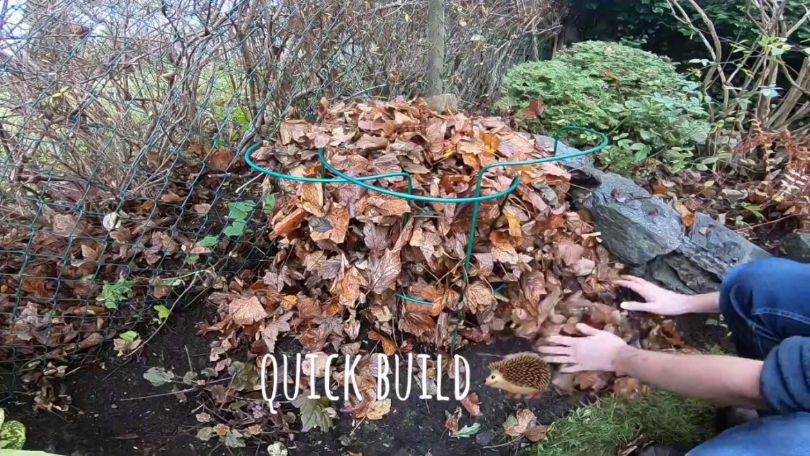 How To – Tips – #HEDGEHOG Autumn/Winter ideas @GoPro #gardener How To - Tips - #HEDGEHOG Autumn/Winter ideas @GoPro #gardener