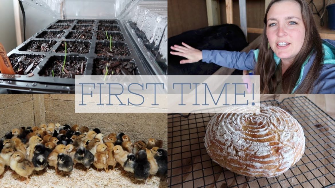 First time starting seeds indoors, Future Garden Plans, and 100+ baby chicks! | VLOG