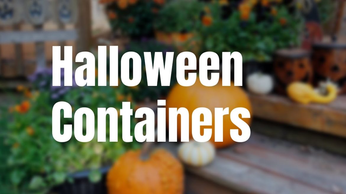 Halloween Containers and Fall Favorites Halloween Containers and Fall Favorites