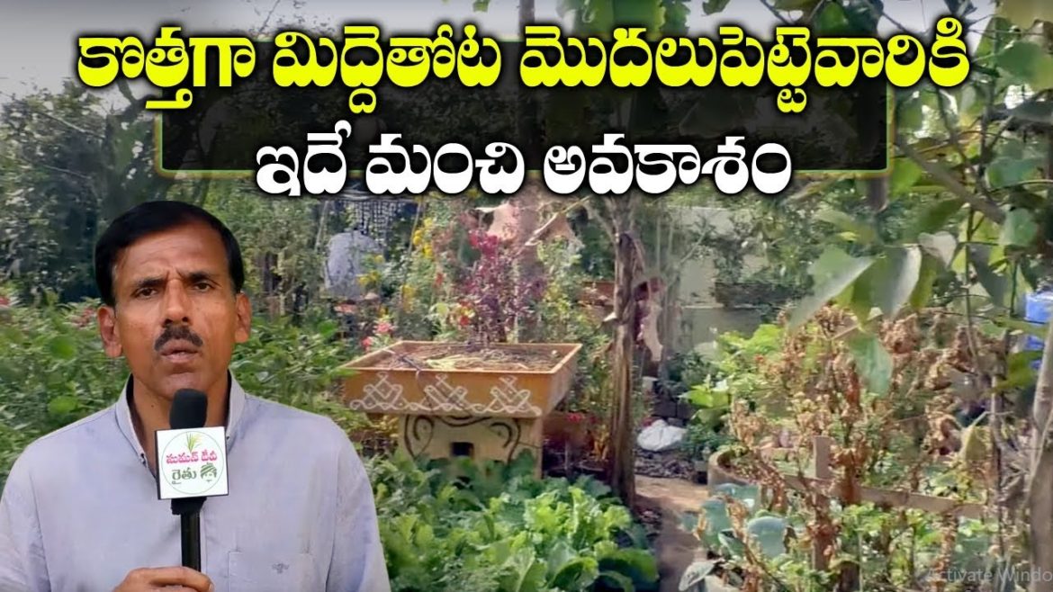 Terrace Garden Tips for Beginners by T Raghotham Reddy || Gardening Ideas || SumanTV Tree