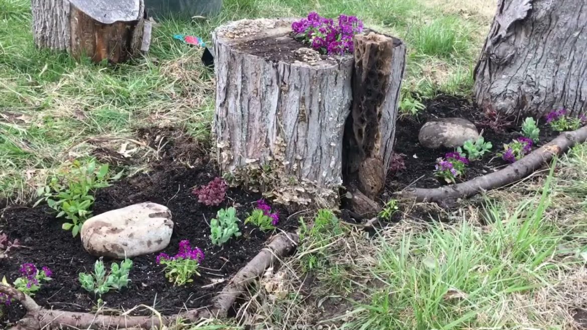 Front Yard Fairy Garden 🧚🌿💚