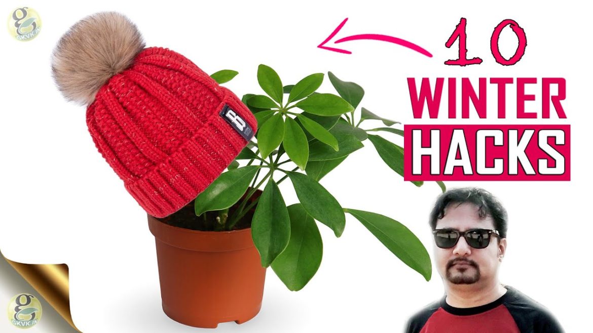 10 SECRETS FOR GARDENING IN WINTER SEASON | Plant Lifesaver Tips 10 SECRETS FOR GARDENING IN WINTER SEASON | Plant Lifesaver Tips