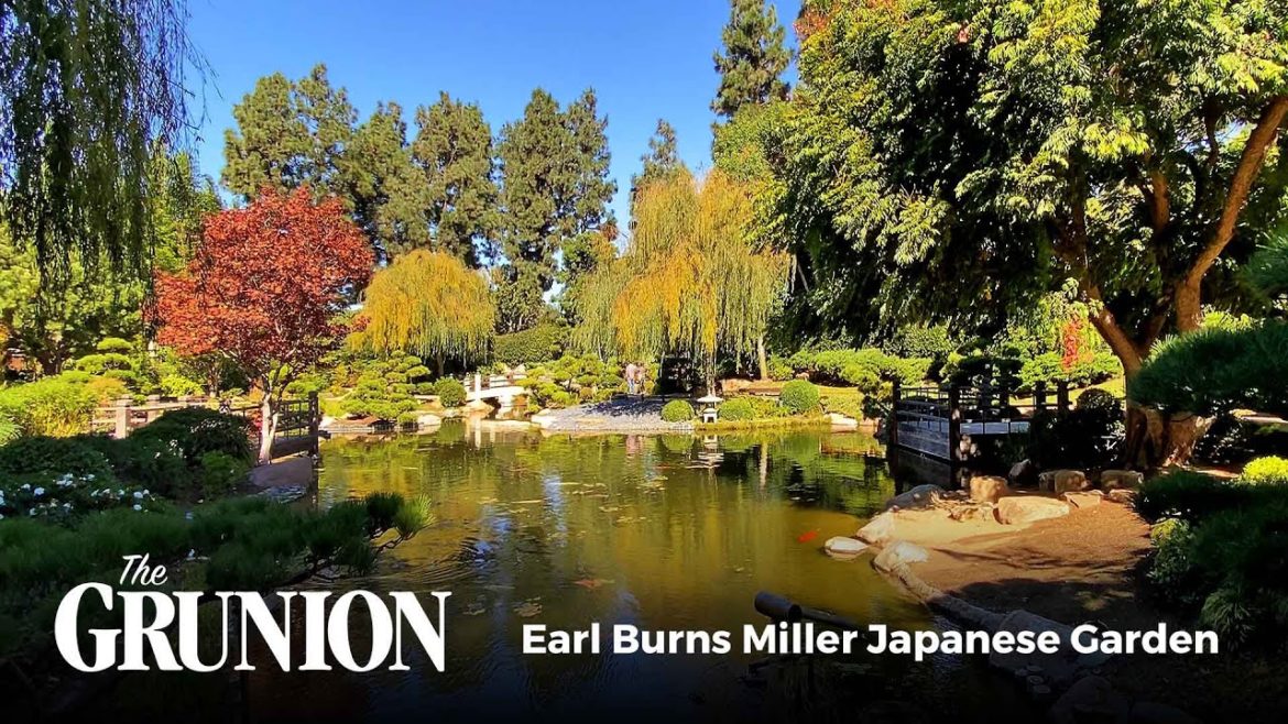 The Earl Burns Miller Japanese Garden is back open in Long Beach