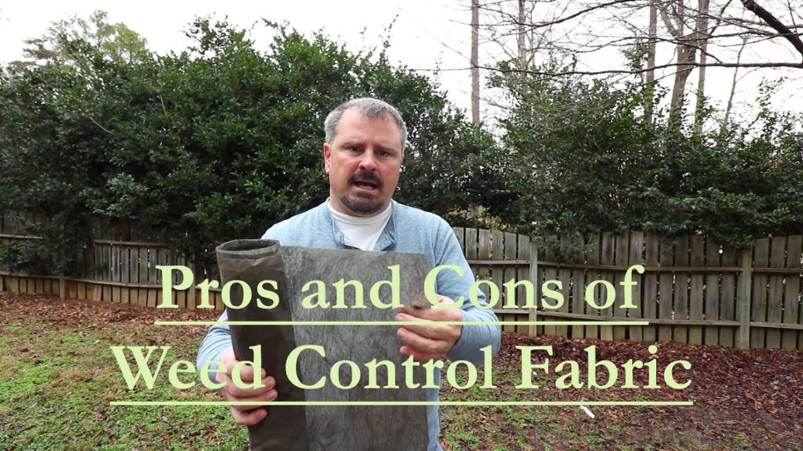 The Pros and Cons of using Weed Control Fabric (Landscape Fabric) The Pros and Cons of using Weed Control Fabric (Landscape Fabric)