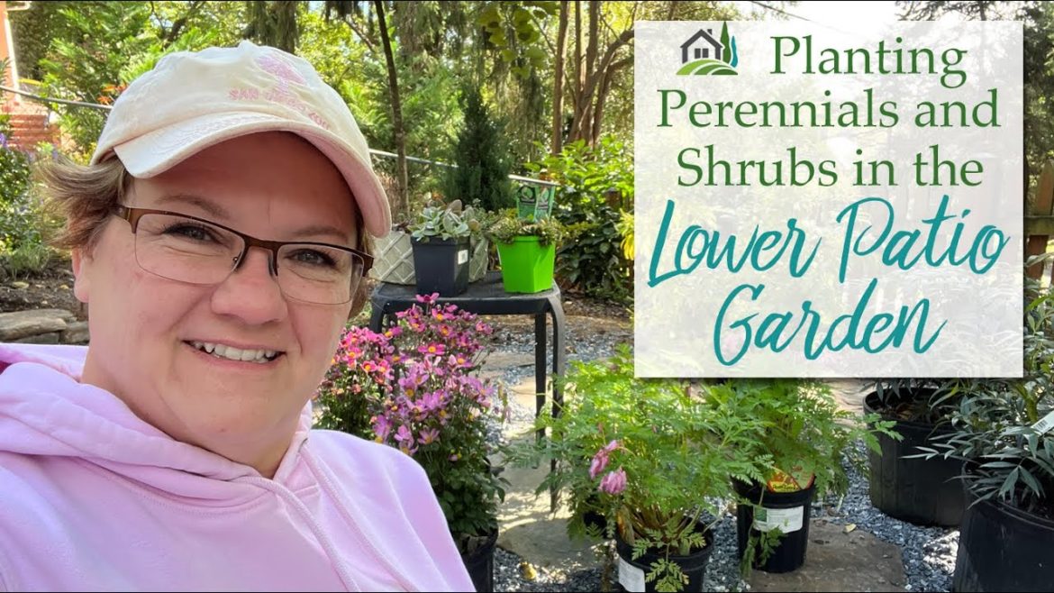 Planting Shrubs and Perennials in the Lower Patio Garden - 🪴🌸🪴🌸🪴