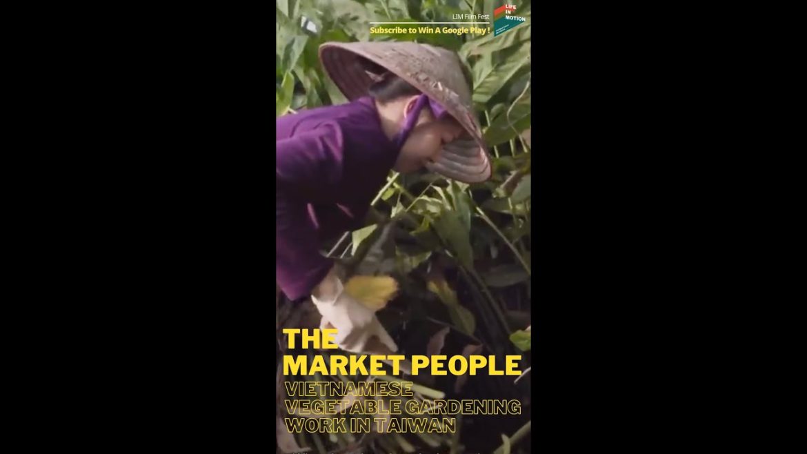 The Market People | Vietnamese Vegetable Gardening work in Taiwan #shorts