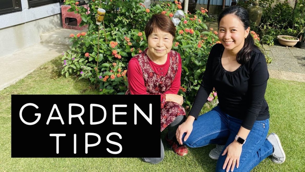 GARDENING TIPS from a Japanese Plant Mom GARDENING TIPS from a Japanese Plant Mom