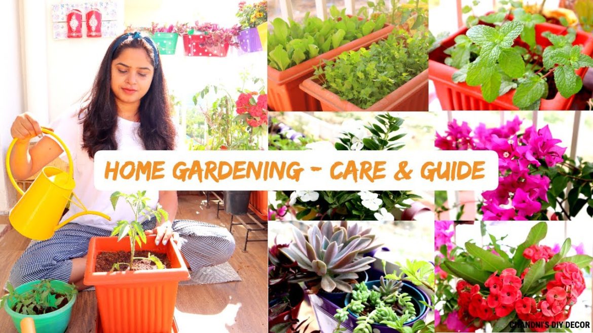 Home Gardening Tips & Guide For Beginners || All About My Plants || Growing Veggies In Balcony ||