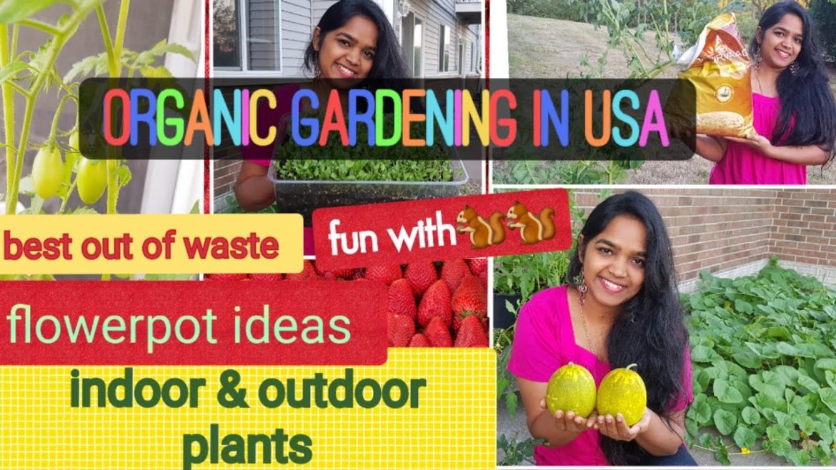Organic Gardening in USA||Gardening tips||Nenu Meeku Cheptha