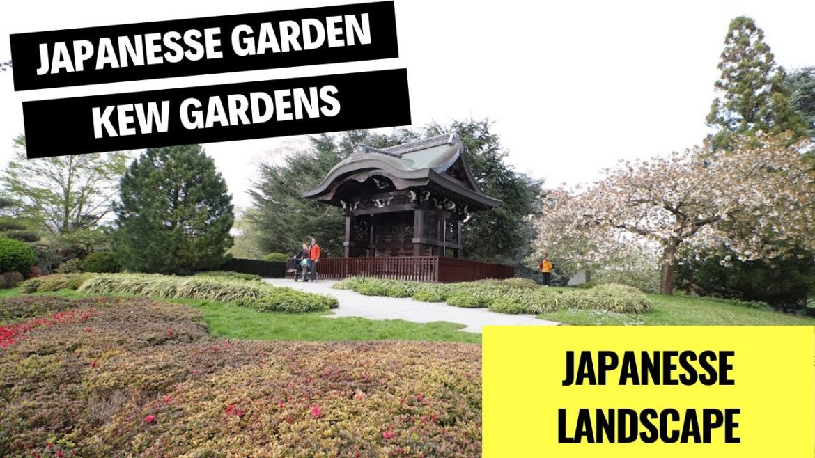 Take a mindful moment in this tranquil Japanese gardens, Japanese Landscape in Kew Gardens