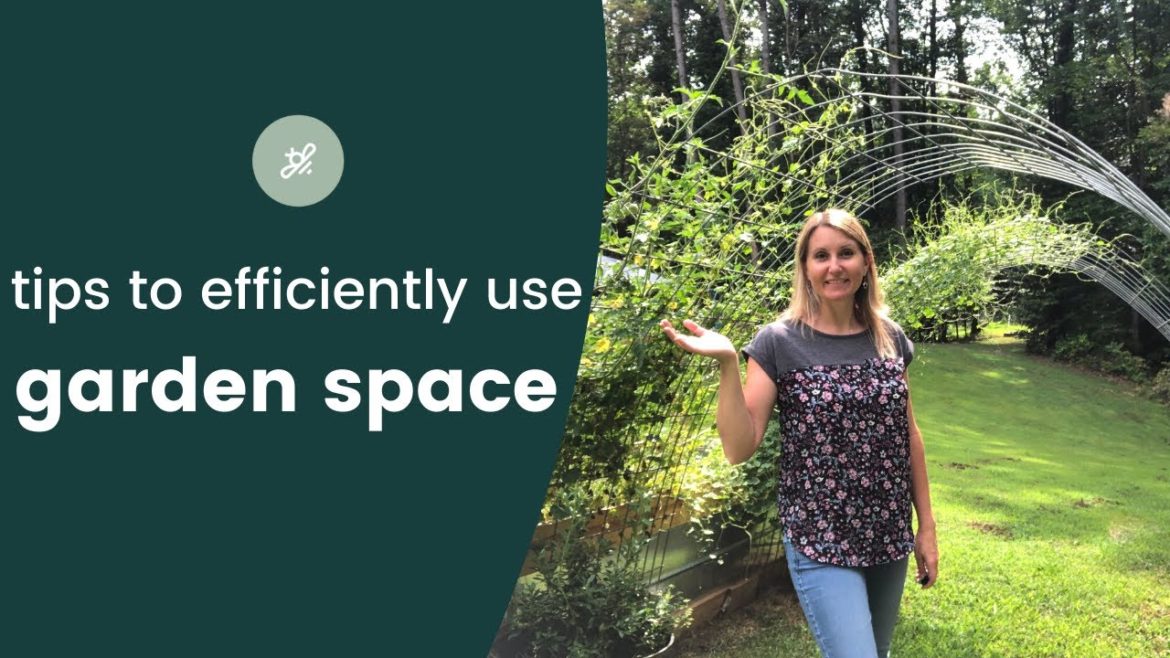 How to grow more food in a small garden