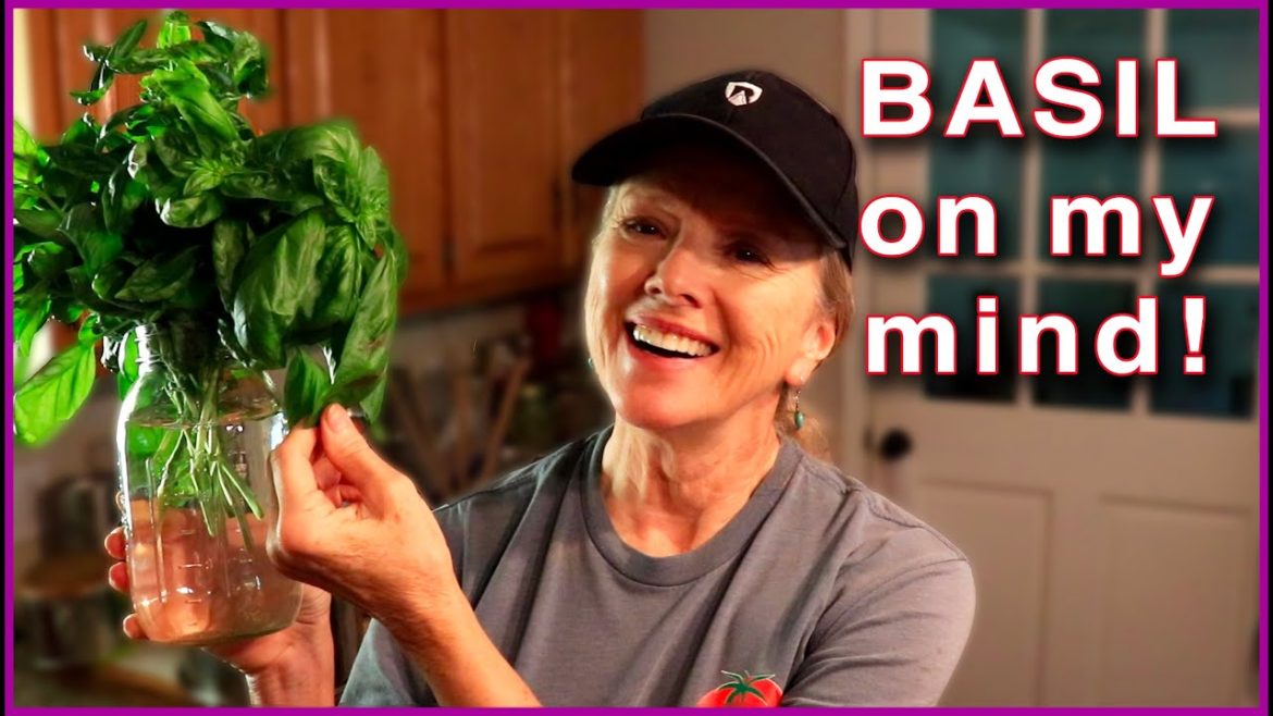 Kaye Kittrell: If YOU can’t grow it, BUY LOCAL! If YOU can't grow it, BUY LOCAL!