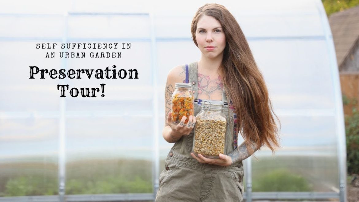 Food Security in an Urban Garden: Preservation Tour 👩🌾 Food Security in an Urban Garden: Preservation Tour 👩🌾