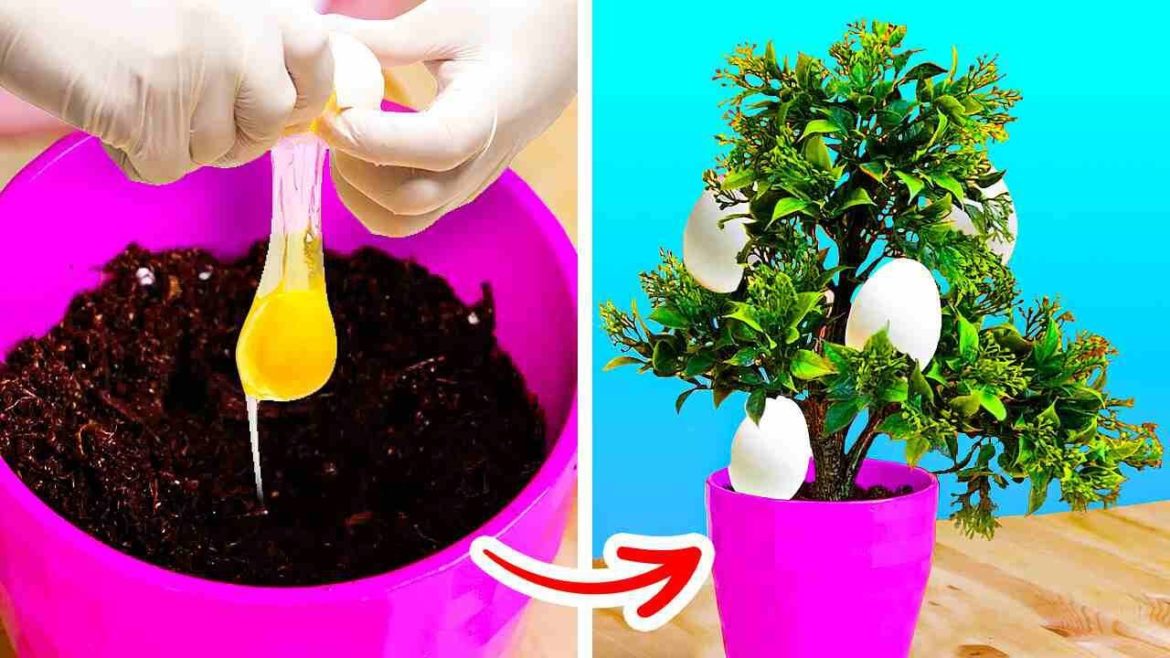 Unexpected Gardening Hacks to make your Plants grow Unexpected Gardening Hacks to make your Plants grow
