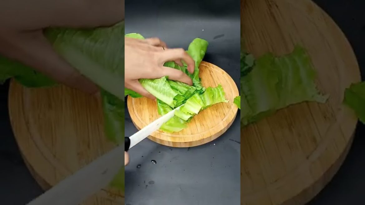 Plant To Plate!🌱🍽️ Growing Romaine Lettuce🥬. Lettuce Salad #shorts #lettuce #hydroponics  #gardening