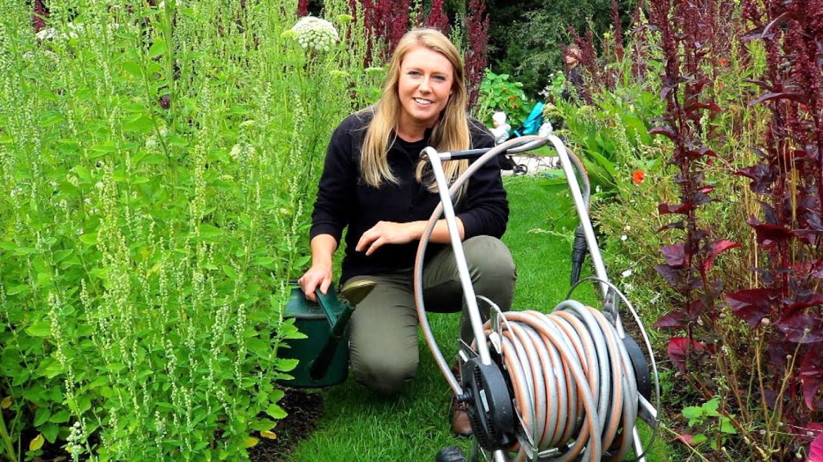 Kirsty Wilson, BBC Beechgrove presenter, shares her garden tips