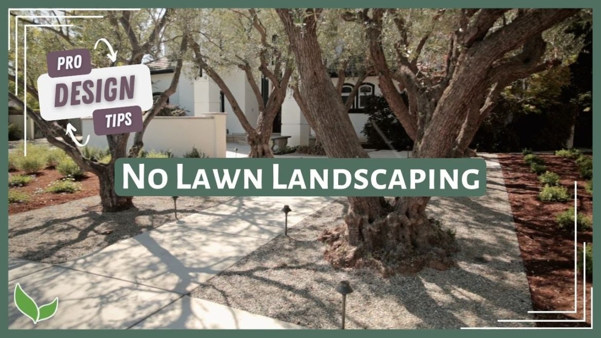 NO GRASS Front Yard Ideas | Xeriscape Landscape Design Tips from a Landscape Designer! NO GRASS Front Yard Ideas | Xeriscape Landscape Design Tips from a Landscape Designer!