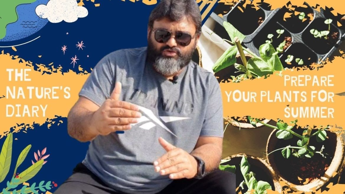 Plant care in SUMMERS | Gardening Tips by EXPERT GARDENER | The Circuit Live