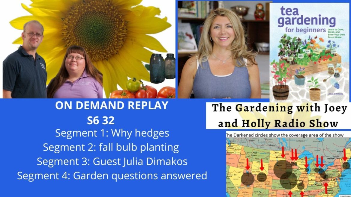 AudioS6E32 Why hedges, Bulb planting, guest Julia Dimakos -The Gardening with Joey &Holly Radio Show