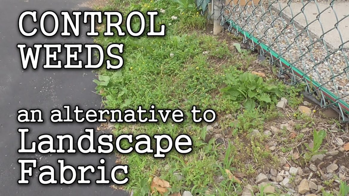 Landscape Fabric Pros & Cons Finding an Alternative thru Sheet Mulching for Weed Control
