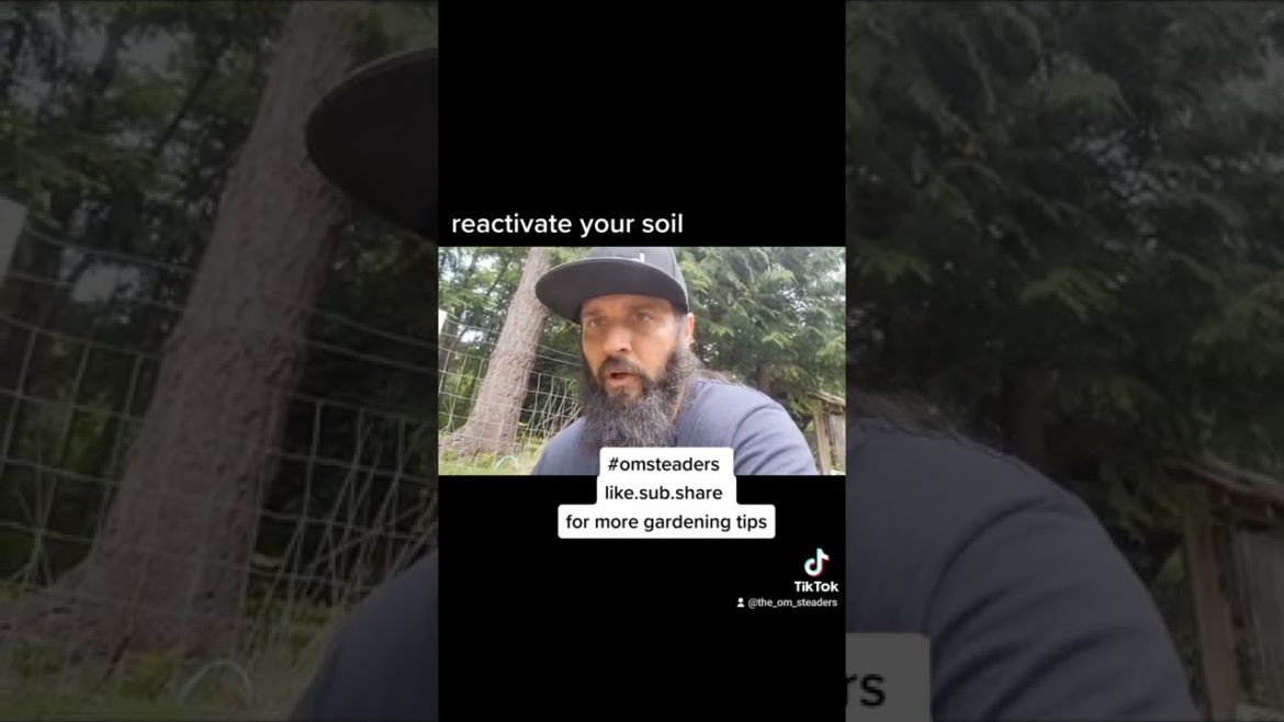 outdoor garden tips / tricks / hacks reactivate your soil #omsteaders