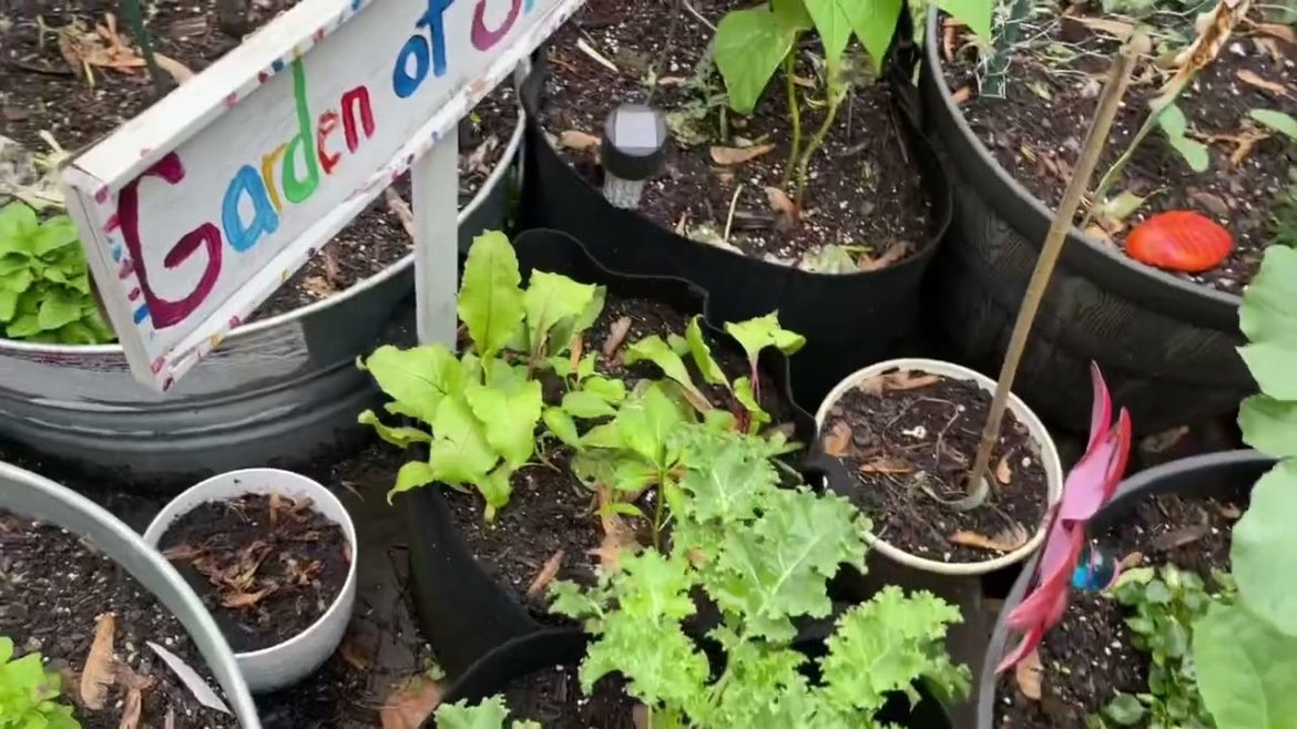 Container Garden | zone 5b | May 2022 #illinois #gardenzone5b #containergardening #gardentour