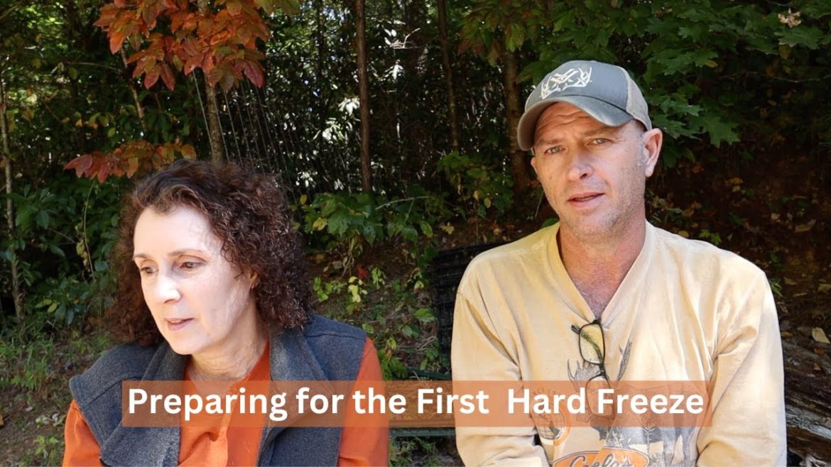 Preparing for the First Hard Freeze in Appalachia | Cleaning the Chimney, Cutting Wood, & Harvesting