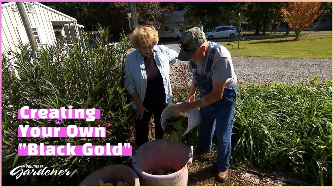 Sustainable Agriculture Practice for Container Gardening | Volunteer Gardener