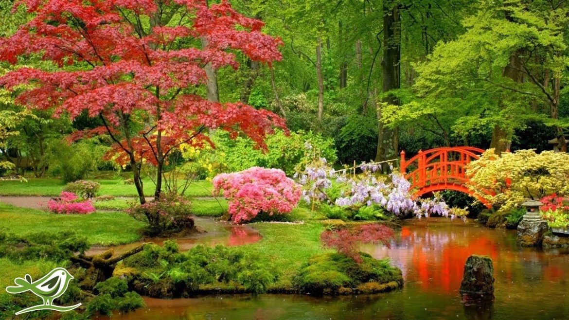Peder B. Helland - Japanese Garden