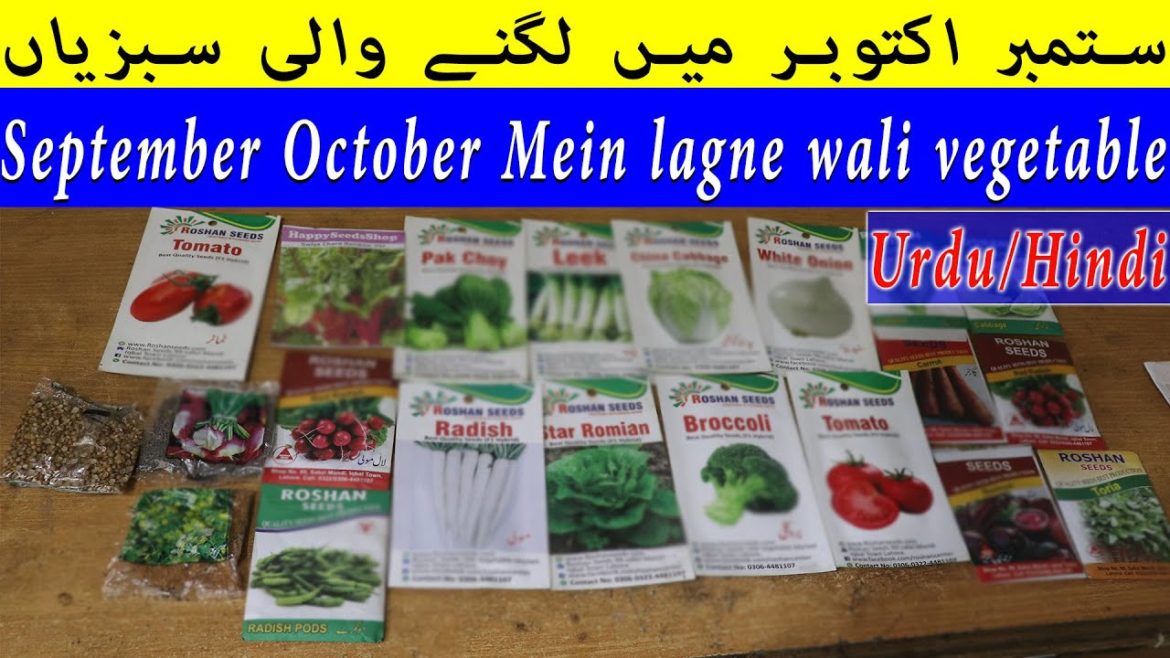 September October Mein lagne wali vegetable Urdu/Hindi