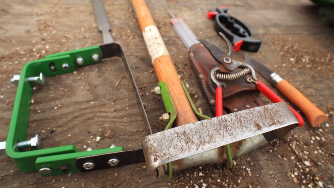 How to Sharpen Garden Tools